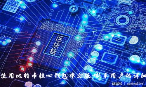 如何使用比特币核心钱包中文版：新手用户的详细指南