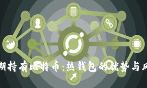 长期持有比特币：热钱包的优势与风险