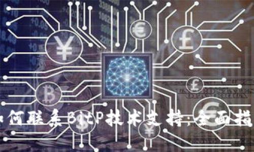 如何联系BitP技术支持：全面指南
