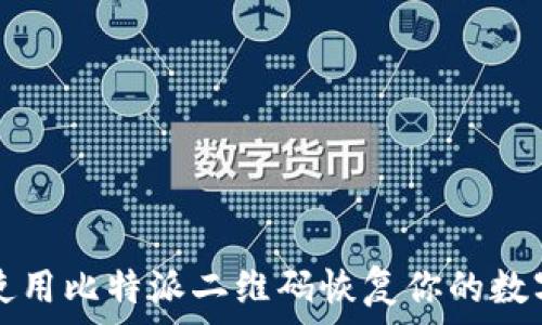   
如何使用比特派二维码恢复你的数字资产