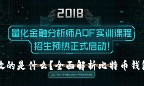 比特币钱包存放的是什么？全面解析比特币钱包的构成与功能