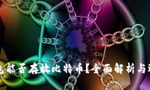 货币钱包能否存放比特币？全面解析与选择指南