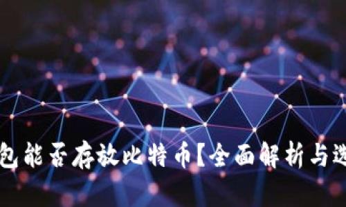 货币钱包能否存放比特币？全面解析与选择指南