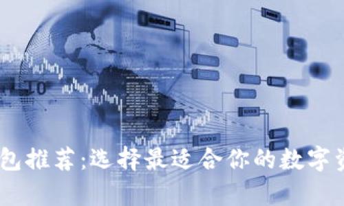 USDT安全钱包推荐：选择最适合你的数字资产存储方案