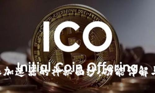 揭开B特派加速器的神秘面纱：功能详解与使用指南