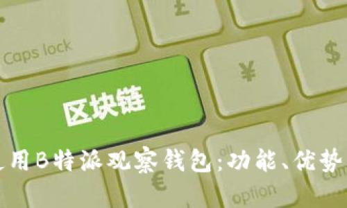 如何有效使用B特派观察钱包：功能、优势与实用技巧