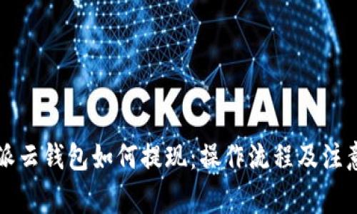 比特派云钱包如何提现：操作流程及注意事项