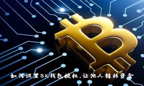 如何设置BK钱包授权，让他人转移资金