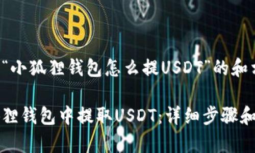以下是关于“小狐狸钱包怎么提USDT”的和相关关键词。

如何在小狐狸钱包中提取USDT：详细步骤和注意事项