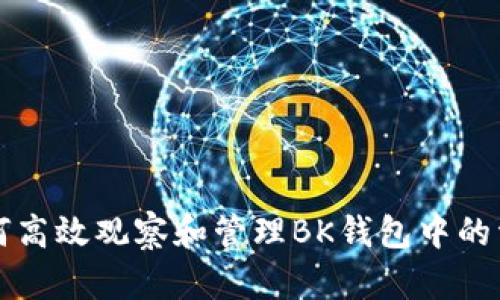 如何高效观察和管理BK钱包中的资产
