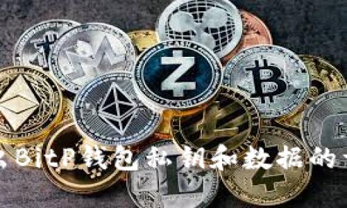 如何导出BitP钱包私钥和数据的详细指南