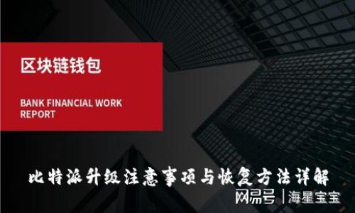 比特派升级注意事项与恢复方法详解