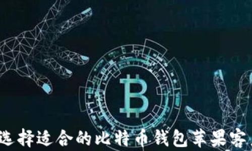 如何选择适合的比特币钱包苹果客户端?
