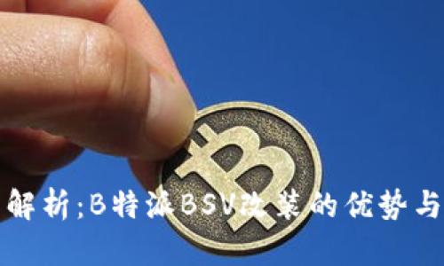 完整解析：B特派BSV改装的优势与技巧
