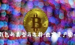 优质  USDT钱包的类型与选择：数字资产安全指南