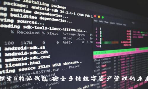 探索B特派钱包：安全多链数字资产管理的未来