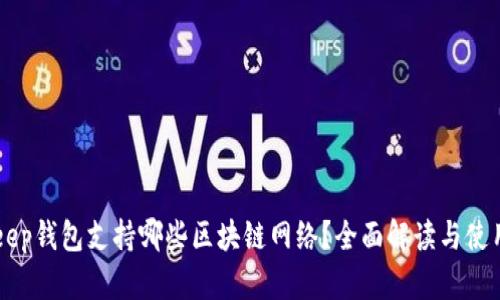 BitKeep钱包支持哪些区块链网络？全面解读与使用指南