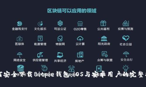 如何安全下载Bitpie钱包：iOS与安卓用户的完整指南