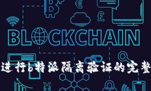 如何进行b特派隔离验证的完整指南