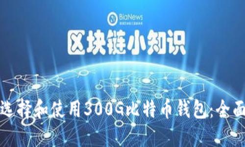 如何选择和使用300G比特币钱包：全面指南