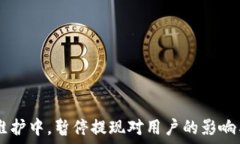   USDT钱包维护中，暂停提现对用户的影响与应对