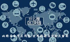 比特币全节点钱包：使用指南与优缺点分析