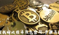 如何找回比特币钱包密码：步骤与技巧