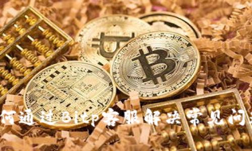 如何通过Bitp客服解决常见问题？