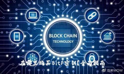 在哪里购买BitP密钥？全面指南