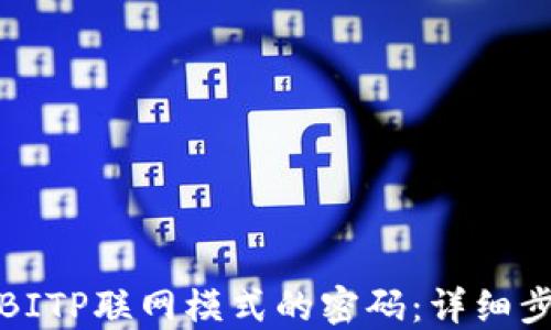 
如何设置BITP联网模式的密码：详细步骤与技巧