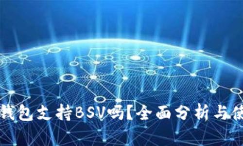 比特派钱包支持BSV吗？全面分析与使用指南