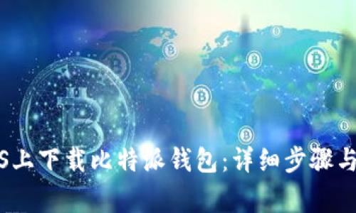如何在iOS上下载比特派钱包：详细步骤与注意事项