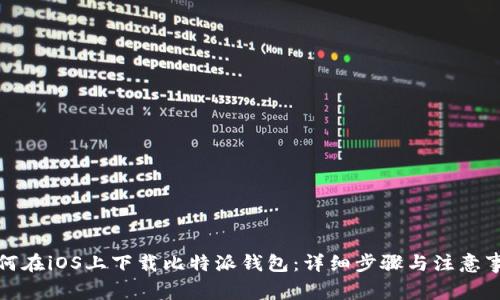 如何在iOS上下载比特派钱包：详细步骤与注意事项