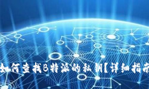 如何查找B特派的私钥？详细指南