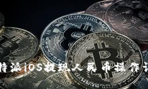 比特派iOS提现人民币操作详解