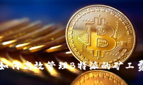 如何高效管理B特派的矿工费