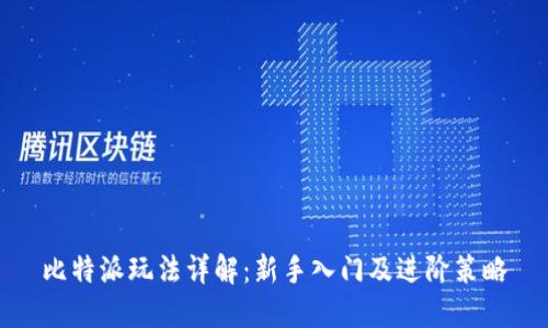 比特派玩法详解：新手入门及进阶策略