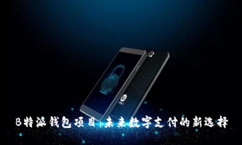 B特派钱包项目：未来数字支付的新选择