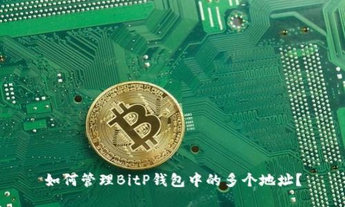 如何管理BitP钱包中的多个地址？