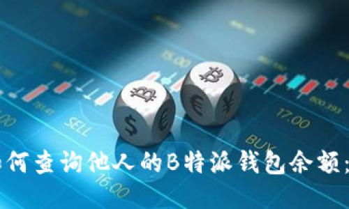 biaioti如何查询他人的B特派钱包余额：详尽指南