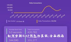 如何分辨BitP钱包的真假：全面指南