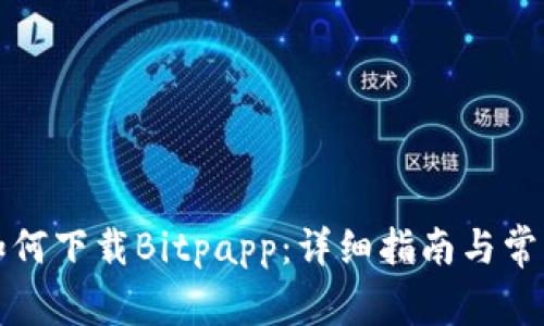 华为手机如何下载Bitpapp：详细指南与常见问题解答