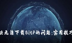 如何解决无法下载BitP的问题：实用技巧与建议