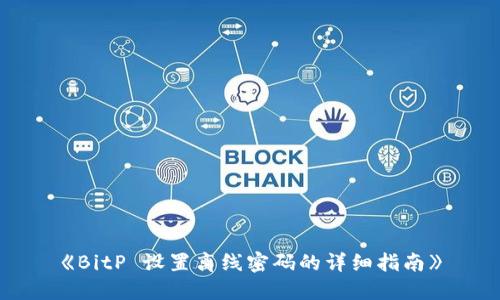 《BitP 设置离线密码的详细指南》