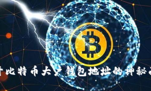 揭开比特币大户钱包地址的神秘面纱