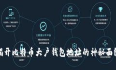 揭开比特币大户钱包地址的神秘面纱