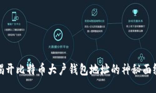 揭开比特币大户钱包地址的神秘面纱