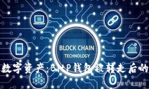 保卫你的数字资产：BitP钱包被转走后的应对策略