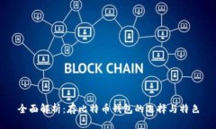 全面解析：存比特币钱包的选择与特色