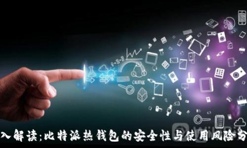   
深入解读：比特派热钱包的安全性与使用风险分析